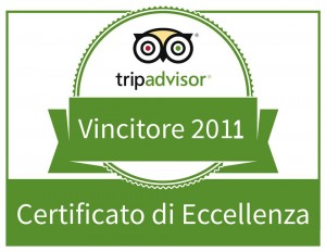 tripadvisor11