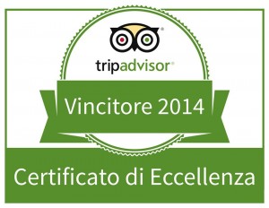 tripadvisor2