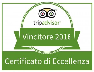 tripadvisor1